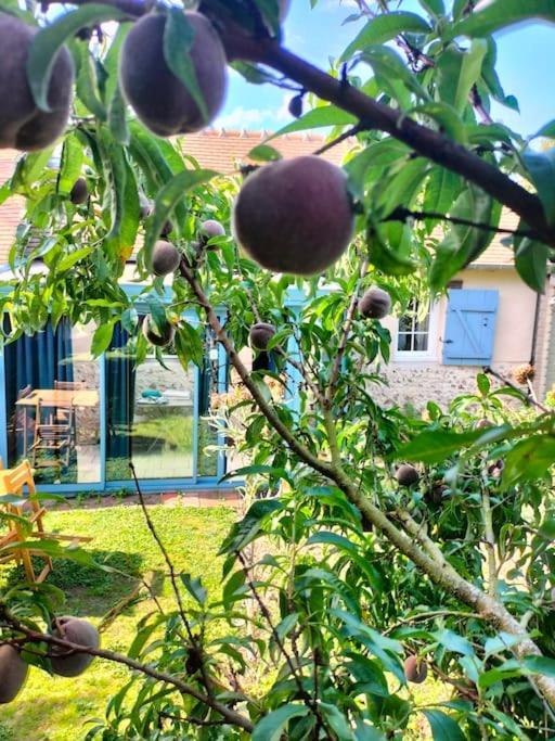 Charmante Maisonnette En Pierre Ecardenville-sur-Eure Экстерьер фото